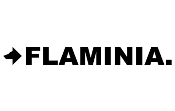 logo-flaminia